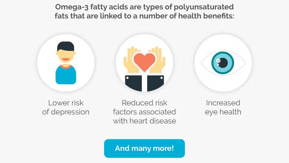 types of fat infographic